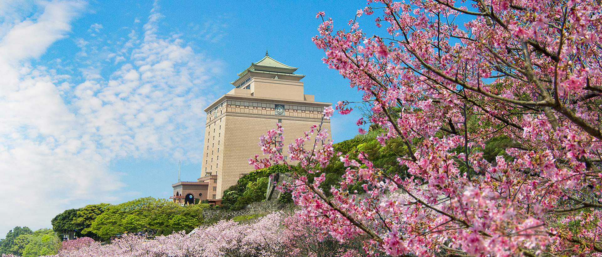 北海福座 櫻花步道