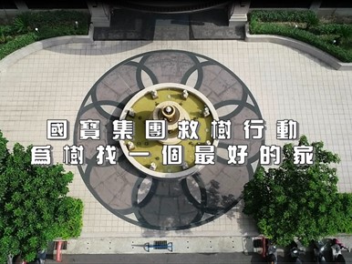 國寶集團與十呆基金會共同搶救老樹